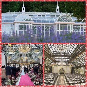 The Auspicious Dragon Usher In Spring, Yongsheng Greenhouse Factory On Special Offer, Creating A New Romantic Living Stronghold